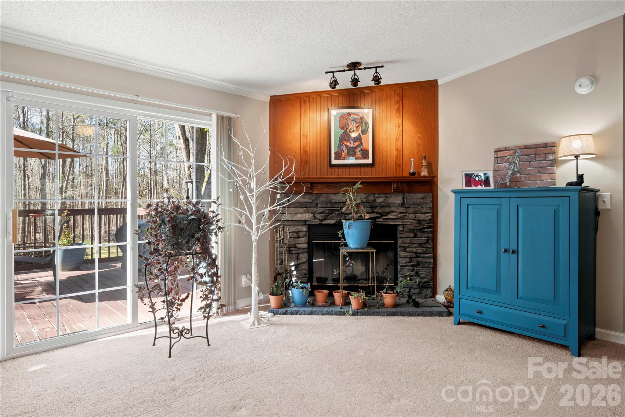 230 Valley View Drive Clover, SC 29710 - Photo 15 of 42 a view of a livingroom with furniture and a fireplace