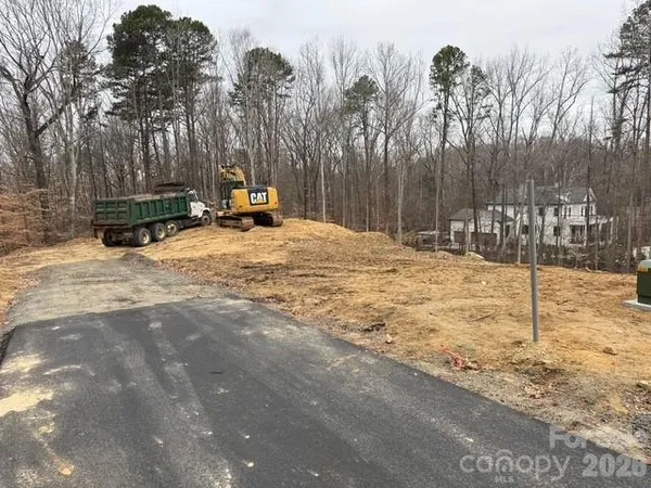 a view of tall trees