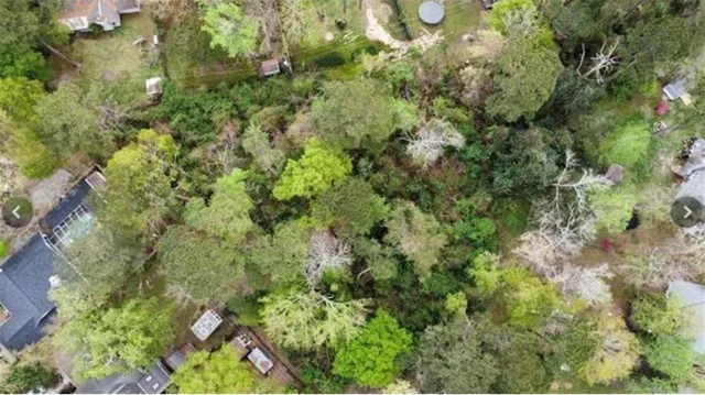 $125,000 | 405 Yaupon Drive, Mandeville, LA 70471