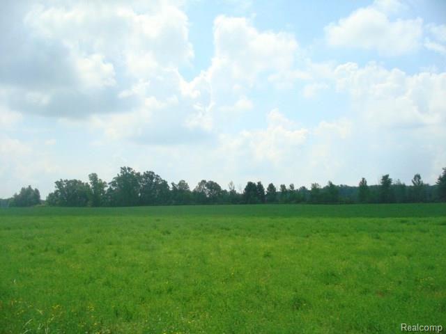 0 Wheeling Road Imlay City, MI 48444 - Photo 13 of 14