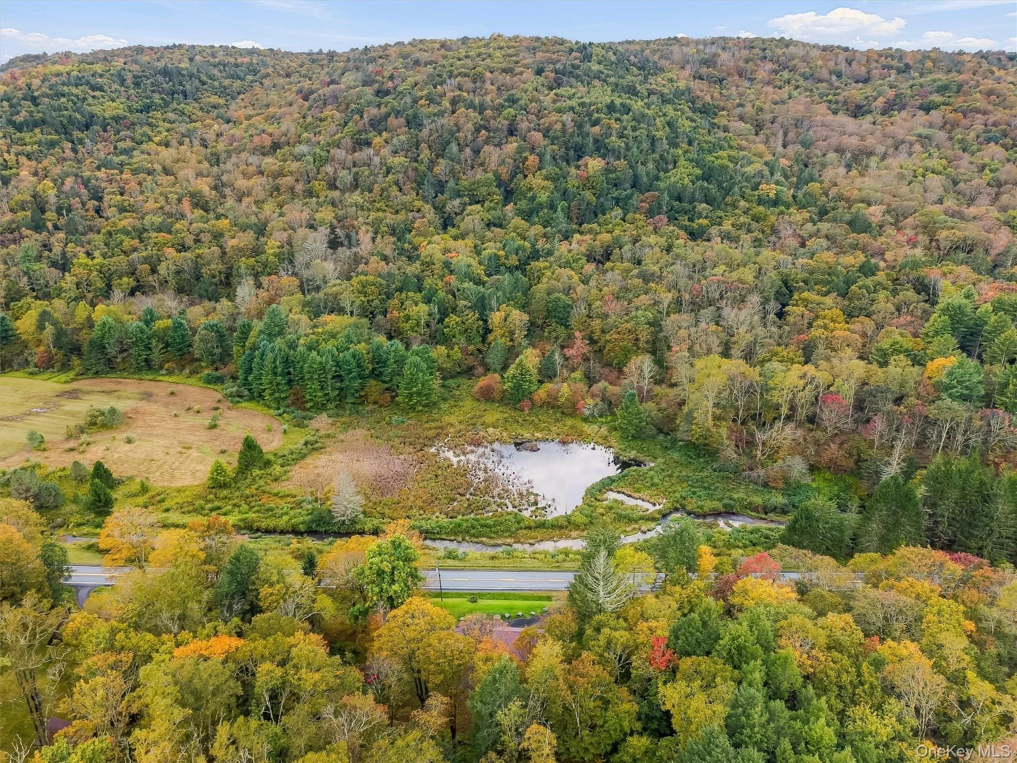 187 Gulf Road Roscoe, NY 12776 - Photo 40 of 48 Gallery Image 40