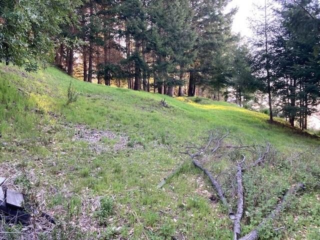 10 Gale Point Whitethorn, CA 95589 - Photo 7 of 20 Building site