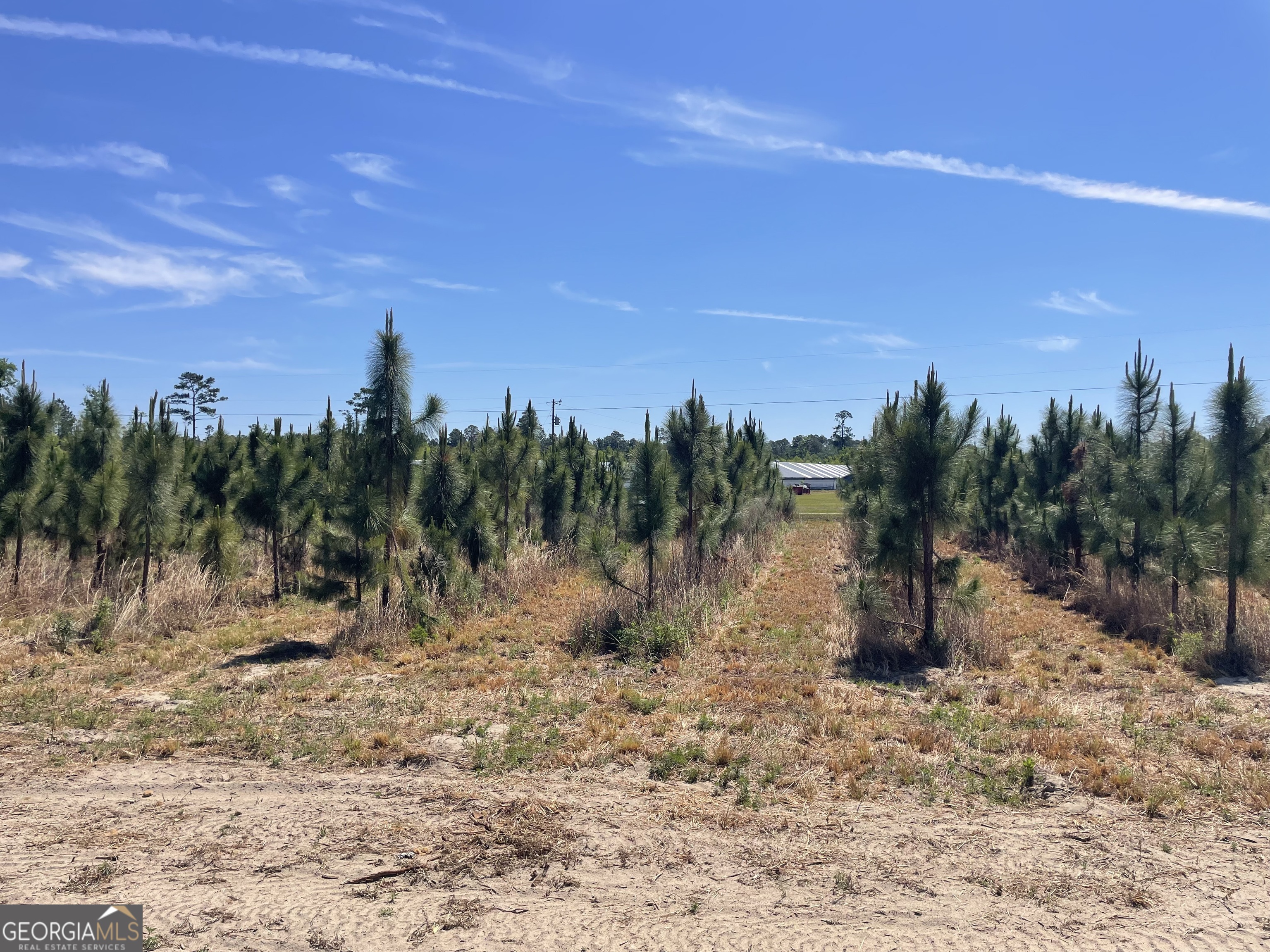 1153 Midway Church Road Baxley, GA 31513 - Photo 12 of 13