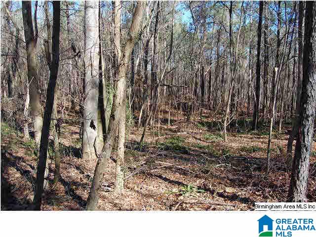 5 Highway Ac Al, Unit 96 23 Woodstock, AL 35188 - Photo 15 of 20