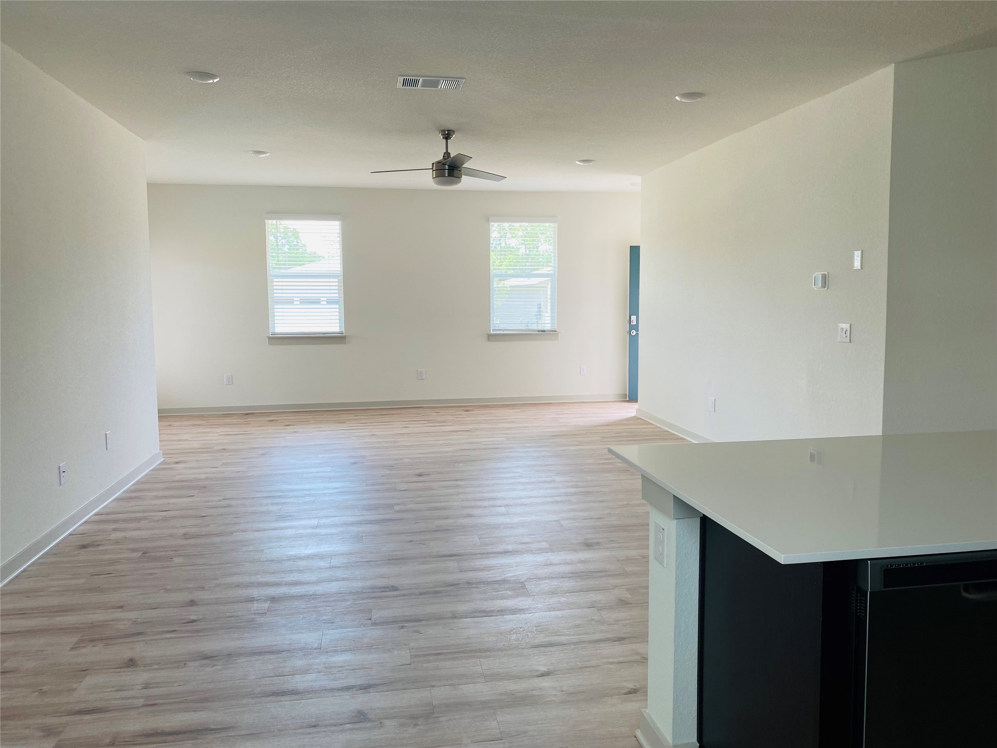 469 Agave Azul Way Leander, TX 78641 - Photo 4 of 9