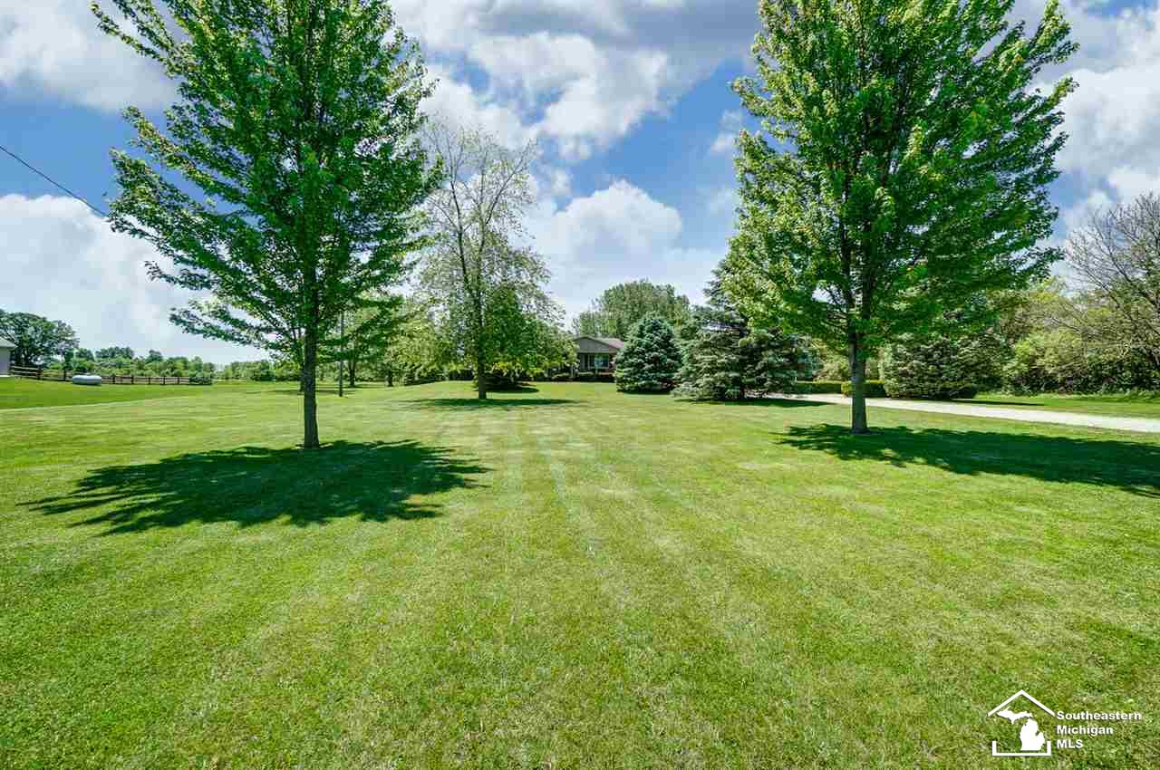 11665 Trost Road Ida, MI 48140 - Photo 3 of 26