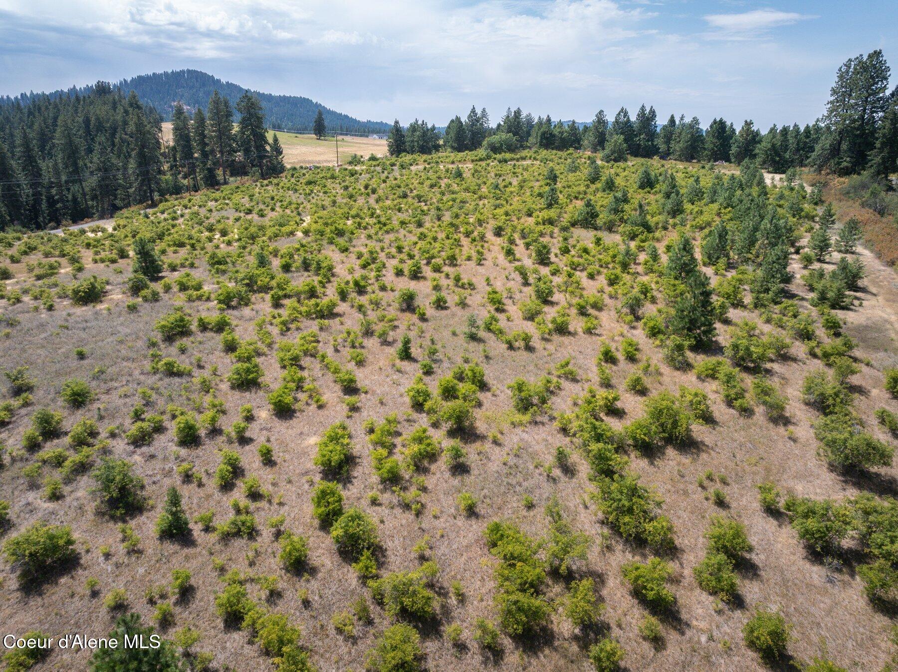 L3 South Bella Vista Road Worley, ID 83876 - Photo 22 of 25 --36.jpg-SMALL