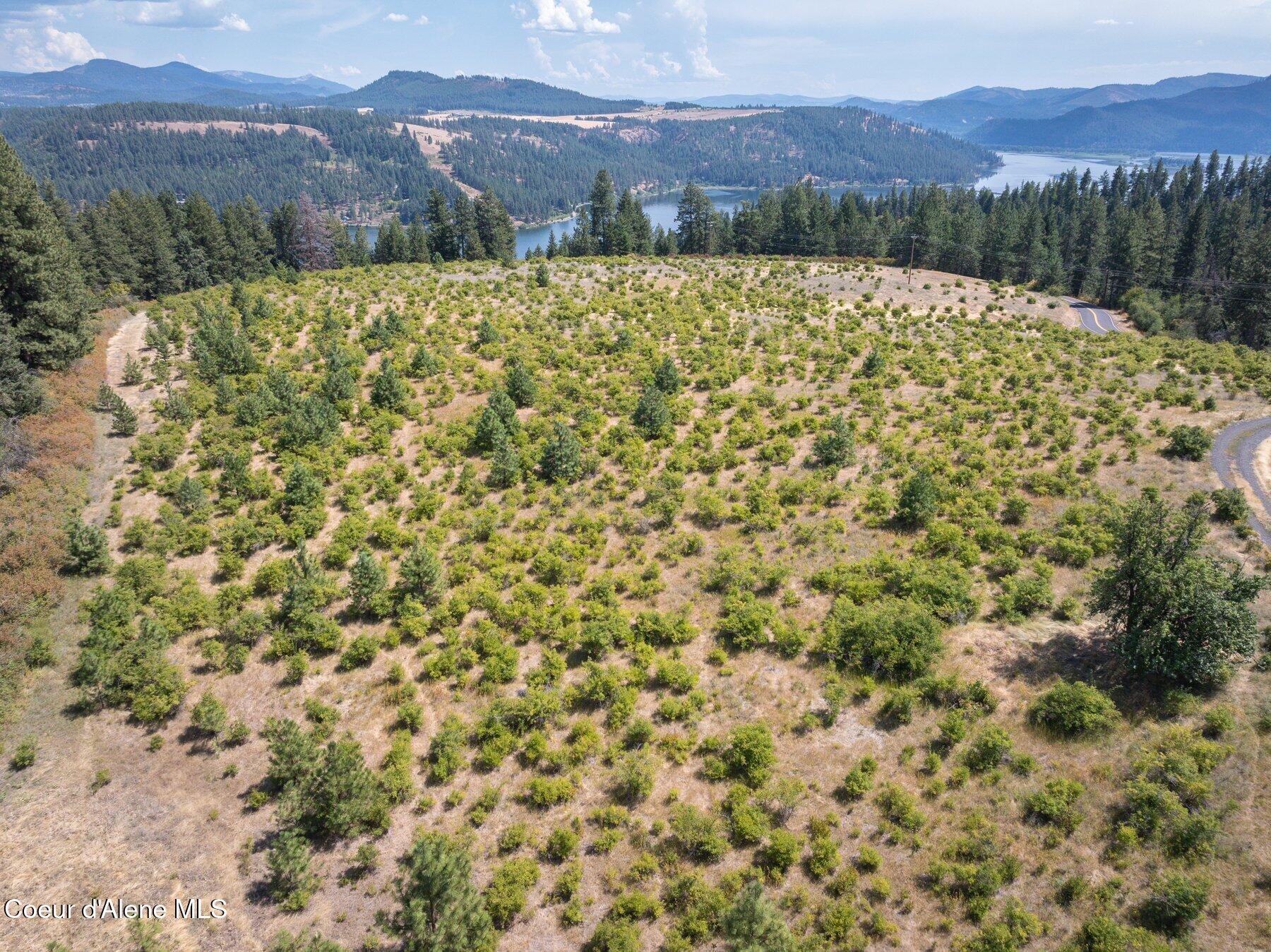 L3 South Bella Vista Road Worley, ID 83876 - Photo 25 of 25 --40.jpg-SMALL