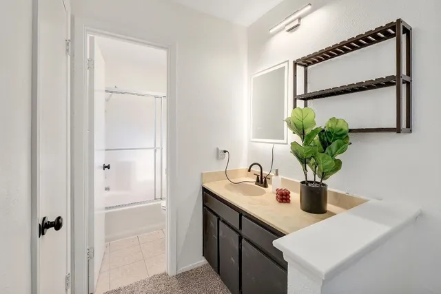 a bathroom with a sink and a mirror