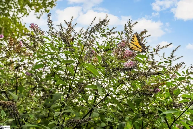 $649,000 | 6 Silverbush Lane, Marietta, SC 29661