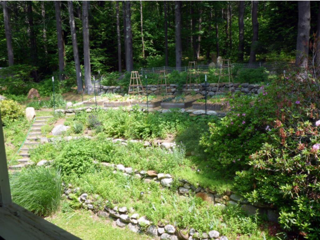 64 Duncan Road Hancock, NH 03449 - Photo 20 of 24