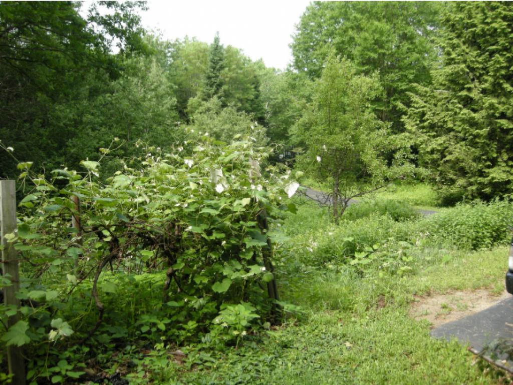 64 Duncan Road Hancock, NH 03449 - Photo 24 of 24