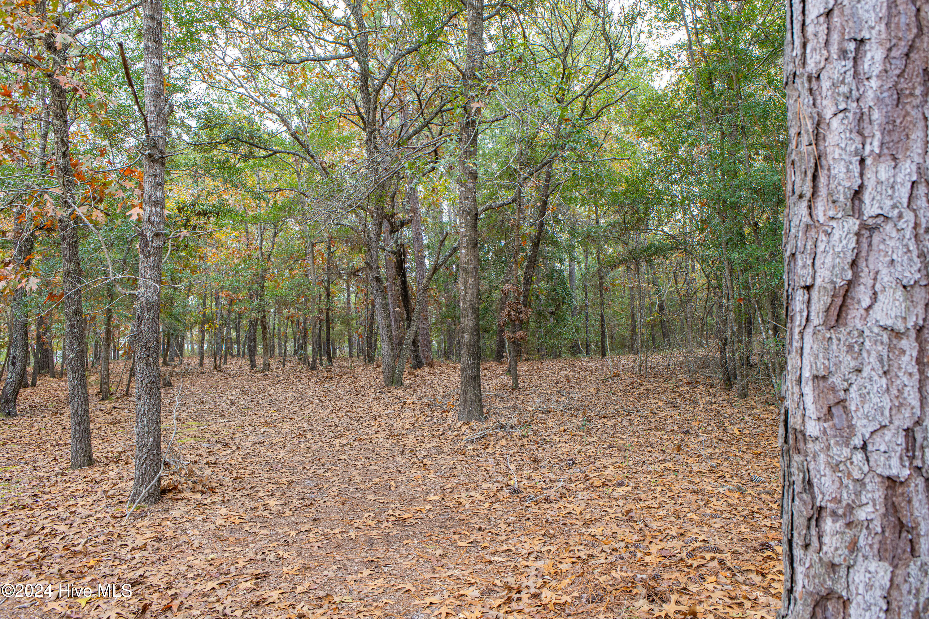 2 Log Landing Road Shallotte, NC 28470 - Photo 3 of 18 Brick Landing Lot-18