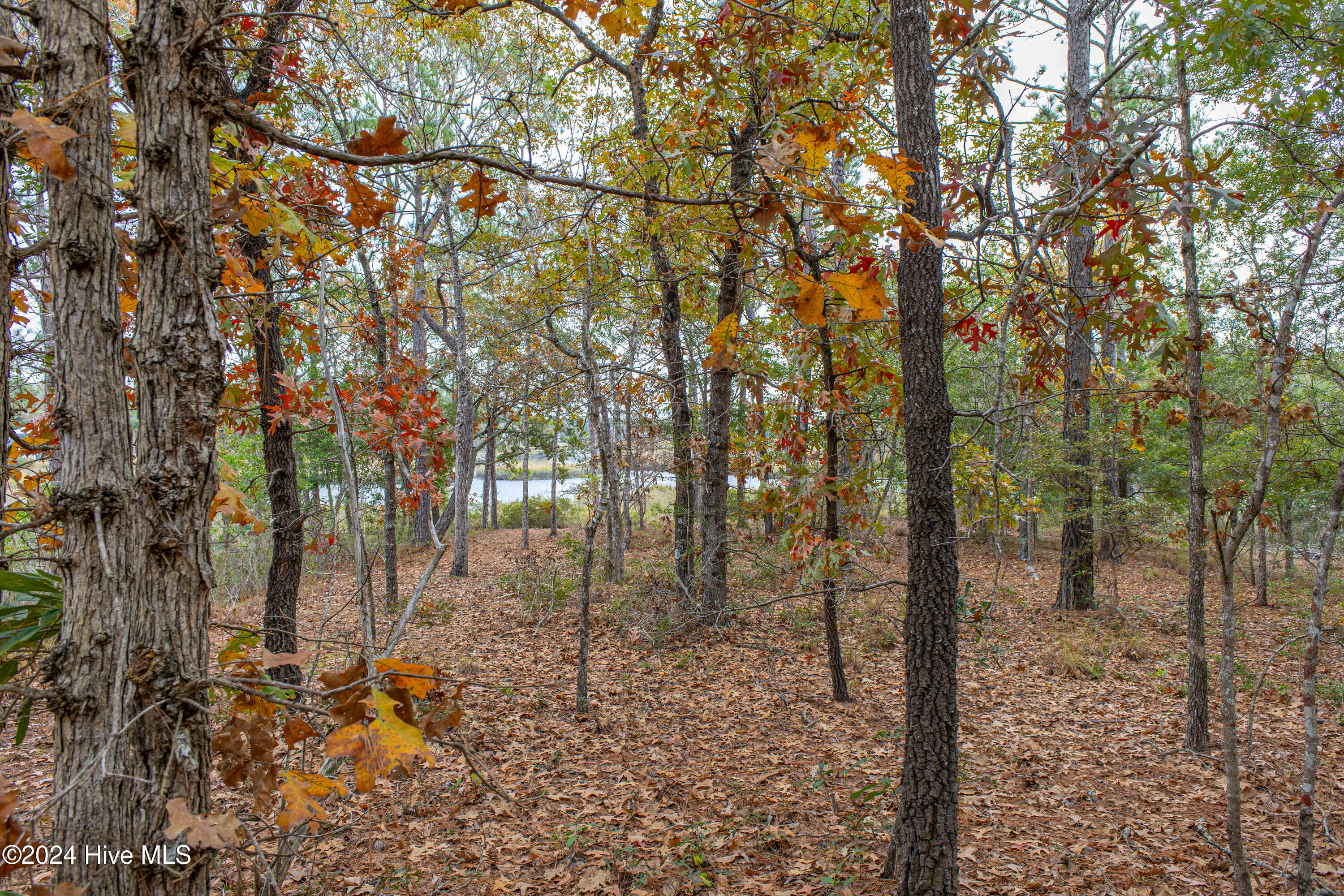 2 Log Landing Road Shallotte, NC 28470 - Photo 4 of 18 Brick Landing Lot-19