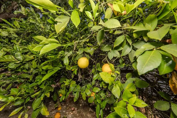 $249,970 | 7 Pine Via, Fullerton, CA 92832