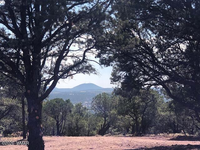 Lot 20 Mountain Pine Road Concho, AZ 85924 - Photo 1 of 10