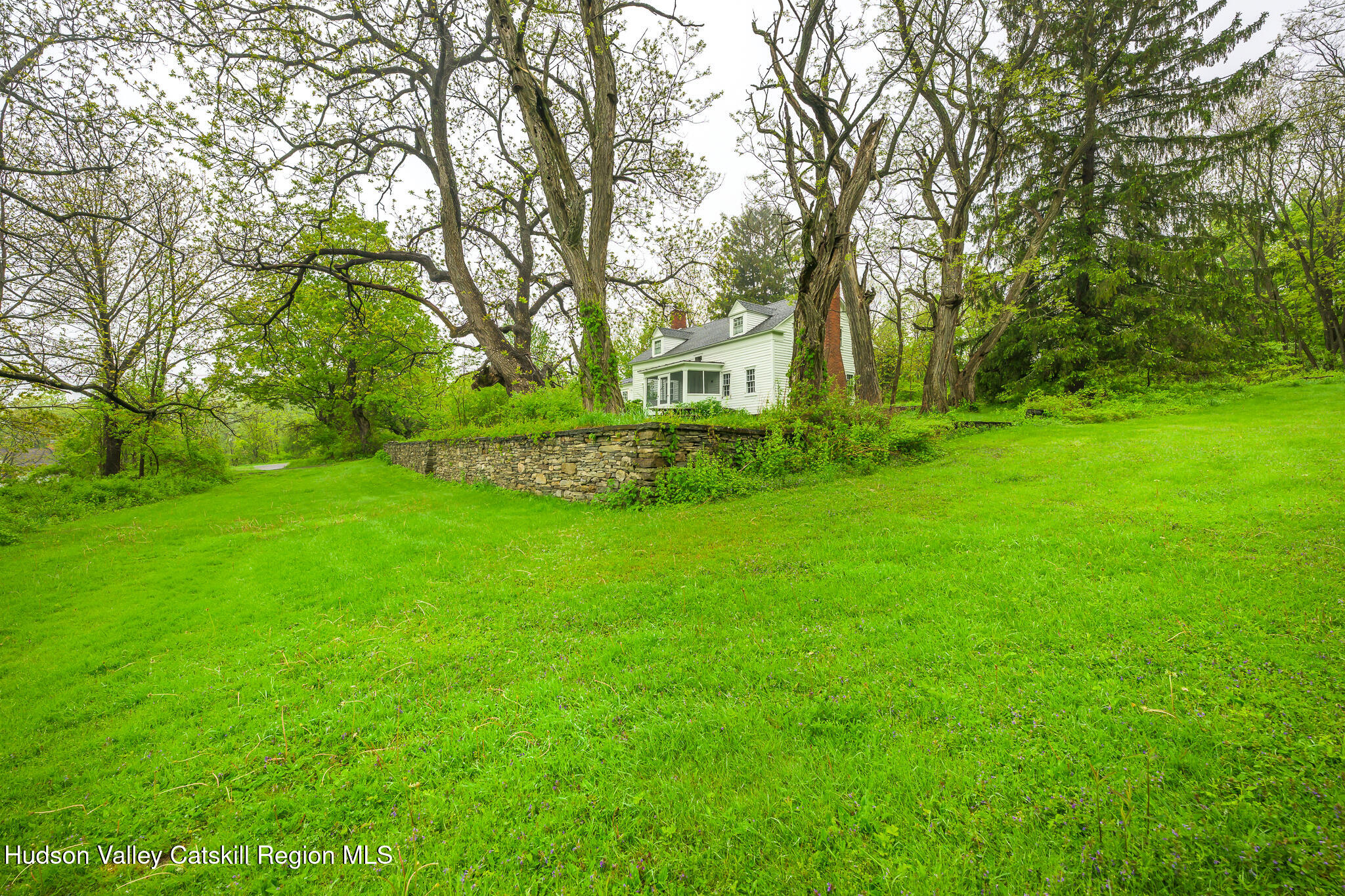 a view of a garden with large trees