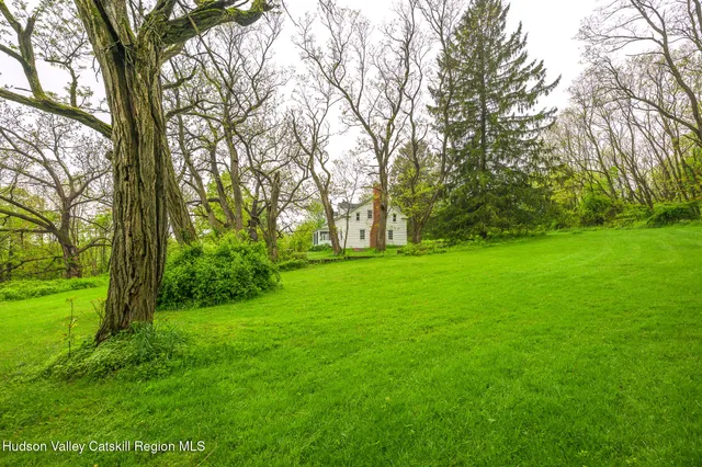 a view of green field with trees in the background