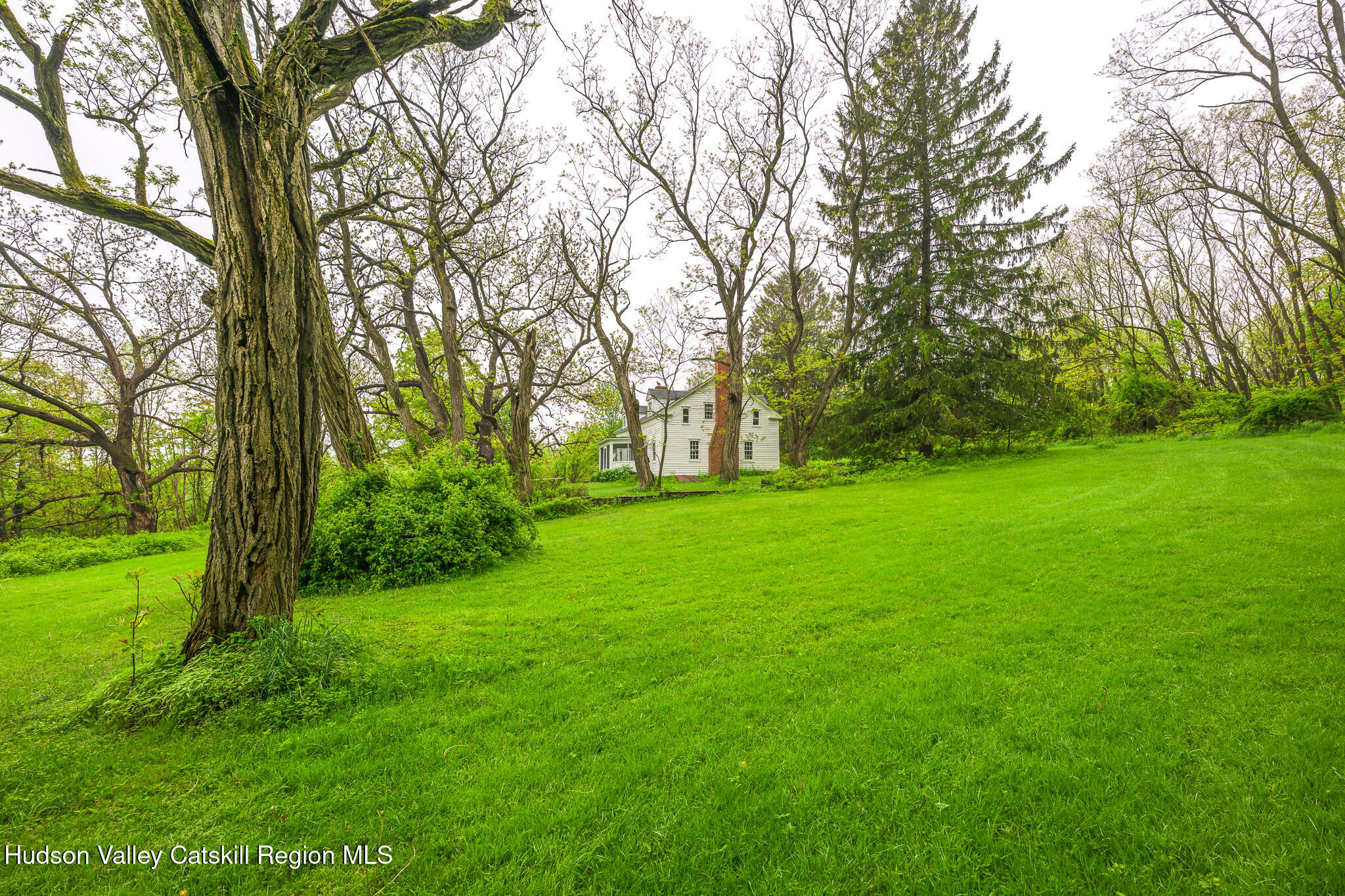 1250 County Rte 351 Rensselaerville, NY 12147 - Photo 22 of 26 a view of green field with trees in the background