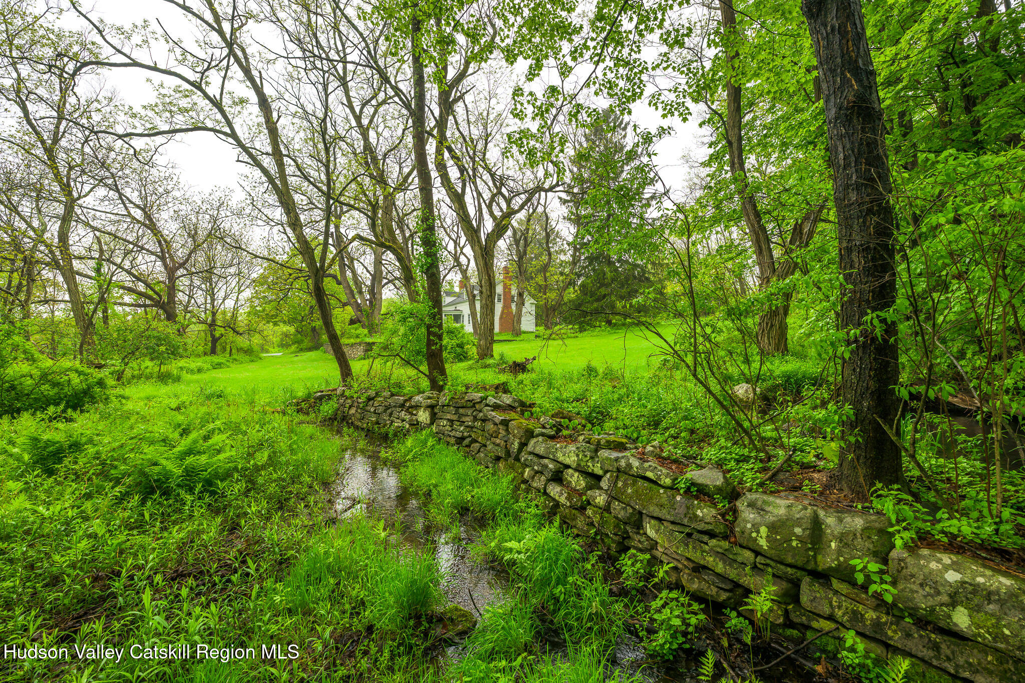 1250 County Rte 351 Rensselaerville, NY 12147 - Photo 23 of 26 a backyard of a house with lots of trees