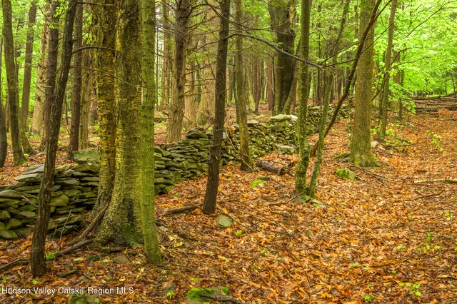 a view of outdoor space with deck