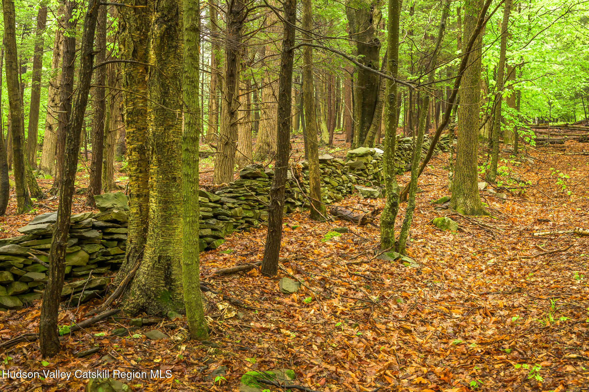 1250 County Rte 351 Rensselaerville, NY 12147 - Photo 25 of 26