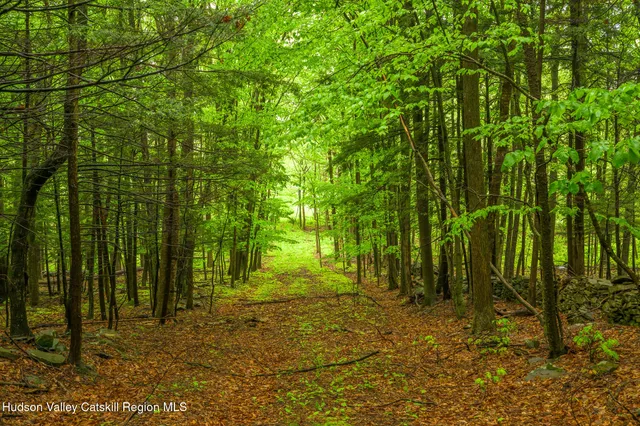 $725,000 | 1250 County Rte 351, Rensselaerville, NY 12147