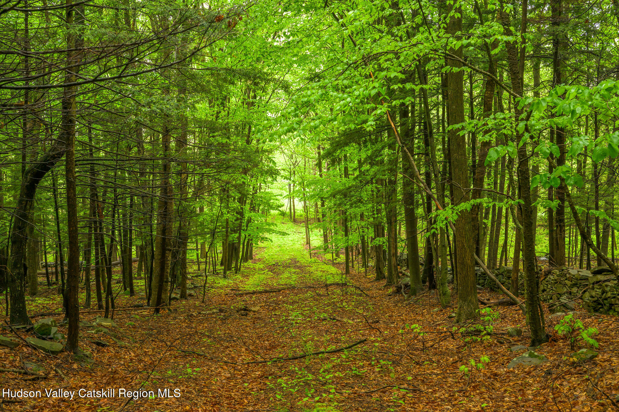 1250 County Rte 351 Rensselaerville, NY 12147 - Photo 26 of 26 a view of outdoor space with deck