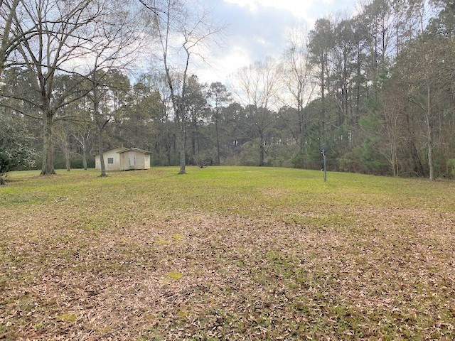 3164 Martin Road Summit, MS 39666 - Photo 3 of 28 Photo 3