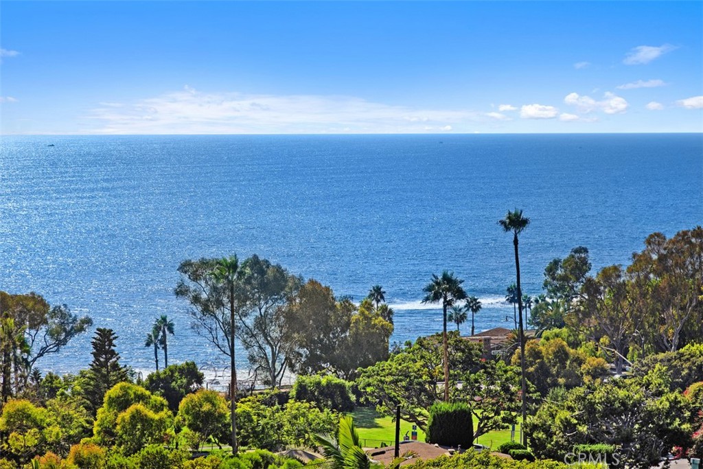21702 Ocean Vista Drive, Unit B Laguna Beach, CA 92651 - Photo 35 of 47 View from your front door!