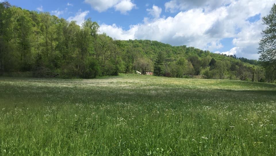 Caney Valley Road Tazewell, TN 37879 - Photo 1 of 2 DCCFDC64-CF3F-452E-90D7-EDEAE7D07643