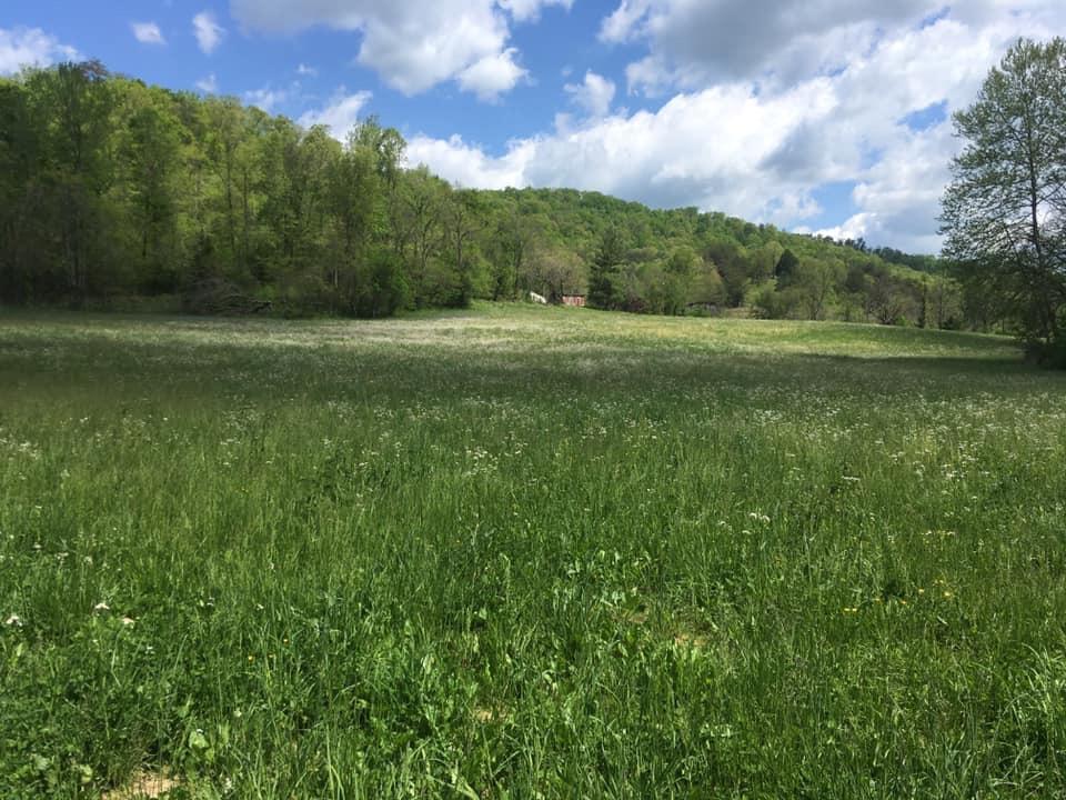Caney Valley Road Tazewell, TN 37879 - Photo 2 of 2 81E4FF54-9F52-432E-B67C-711C558C67CC