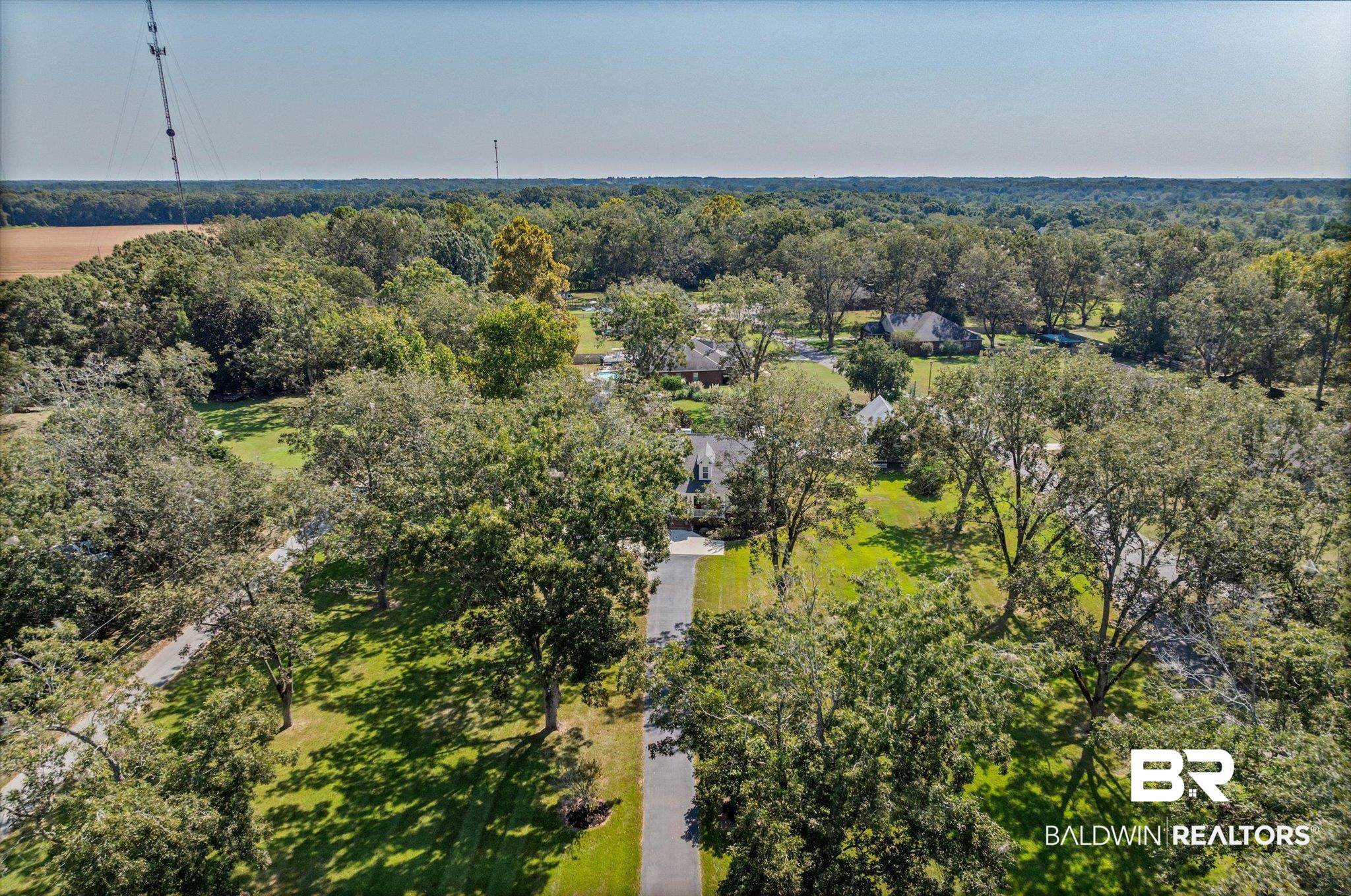 6175 South Grand Bay Wilmer Road Grand Bay, AL 36541 - Photo 37 of 42 Aerial view