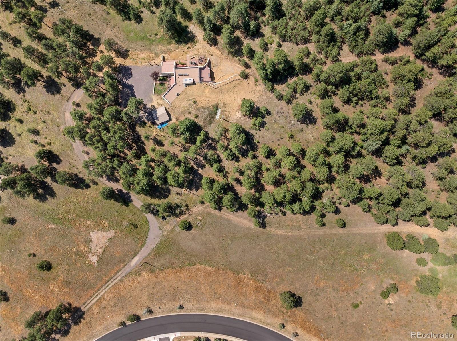 1053 Red Moon Road Evergreen, CO 80439 - Photo 11 of 50 a view of a dry yard