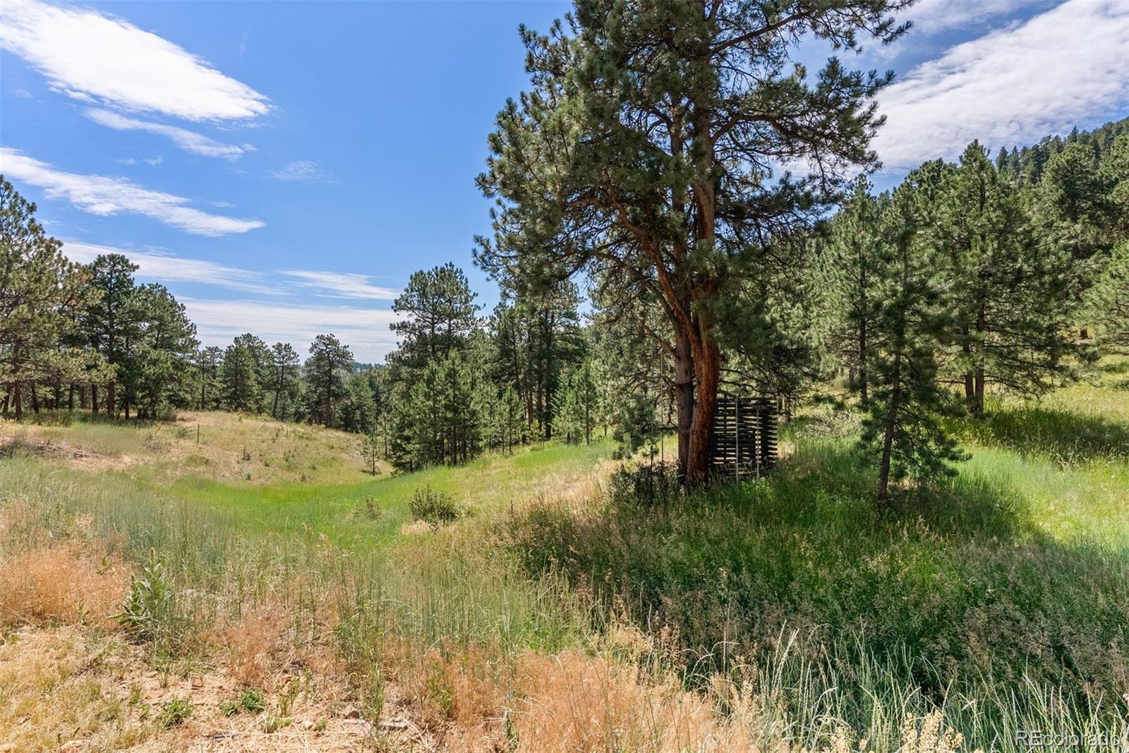 1053 Red Moon Road Evergreen, CO 80439 - Photo 16 of 50 a view of a lake with a yard