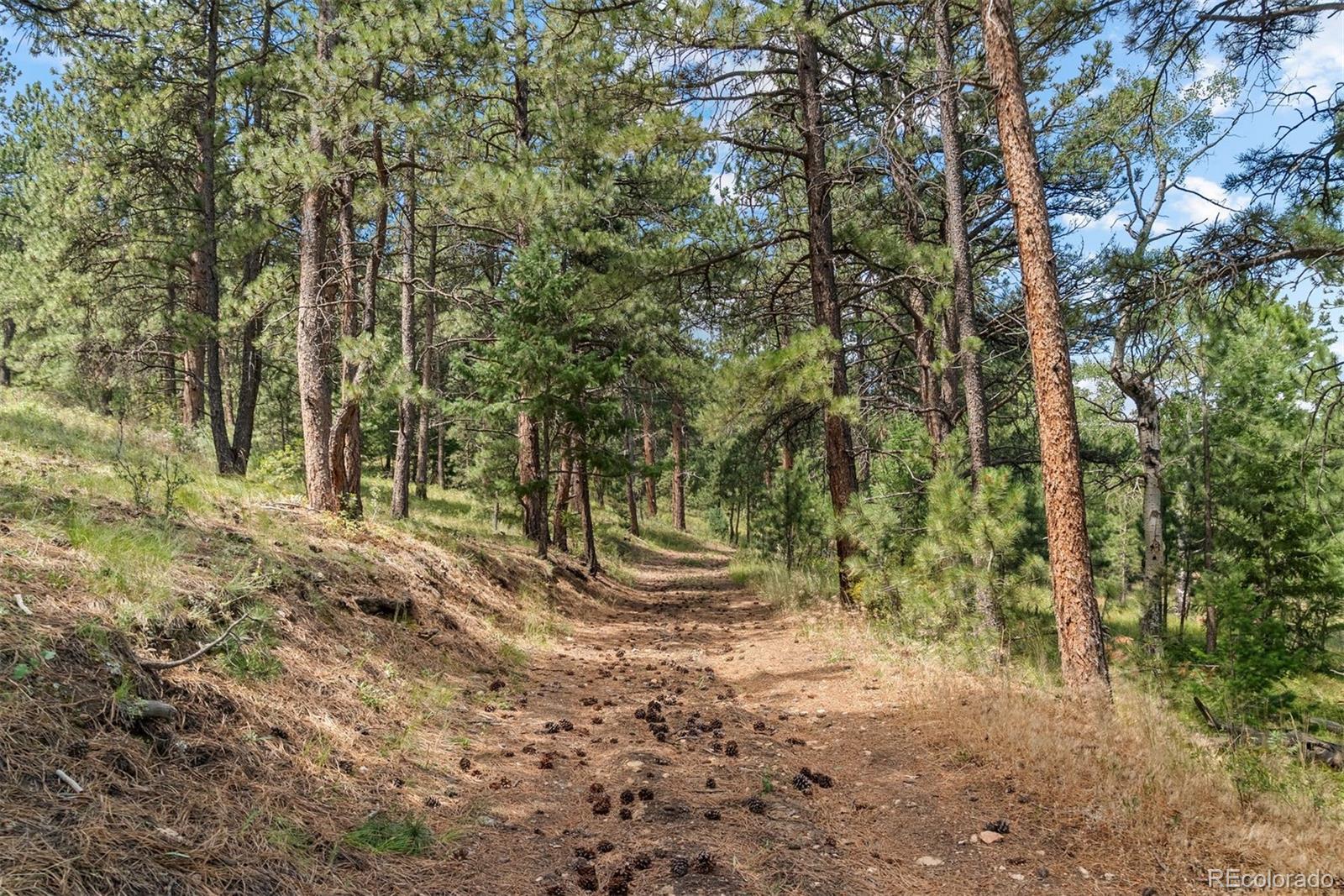 1053 Red Moon Road Evergreen, CO 80439 - Photo 18 of 50 a view of outdoor space and trees