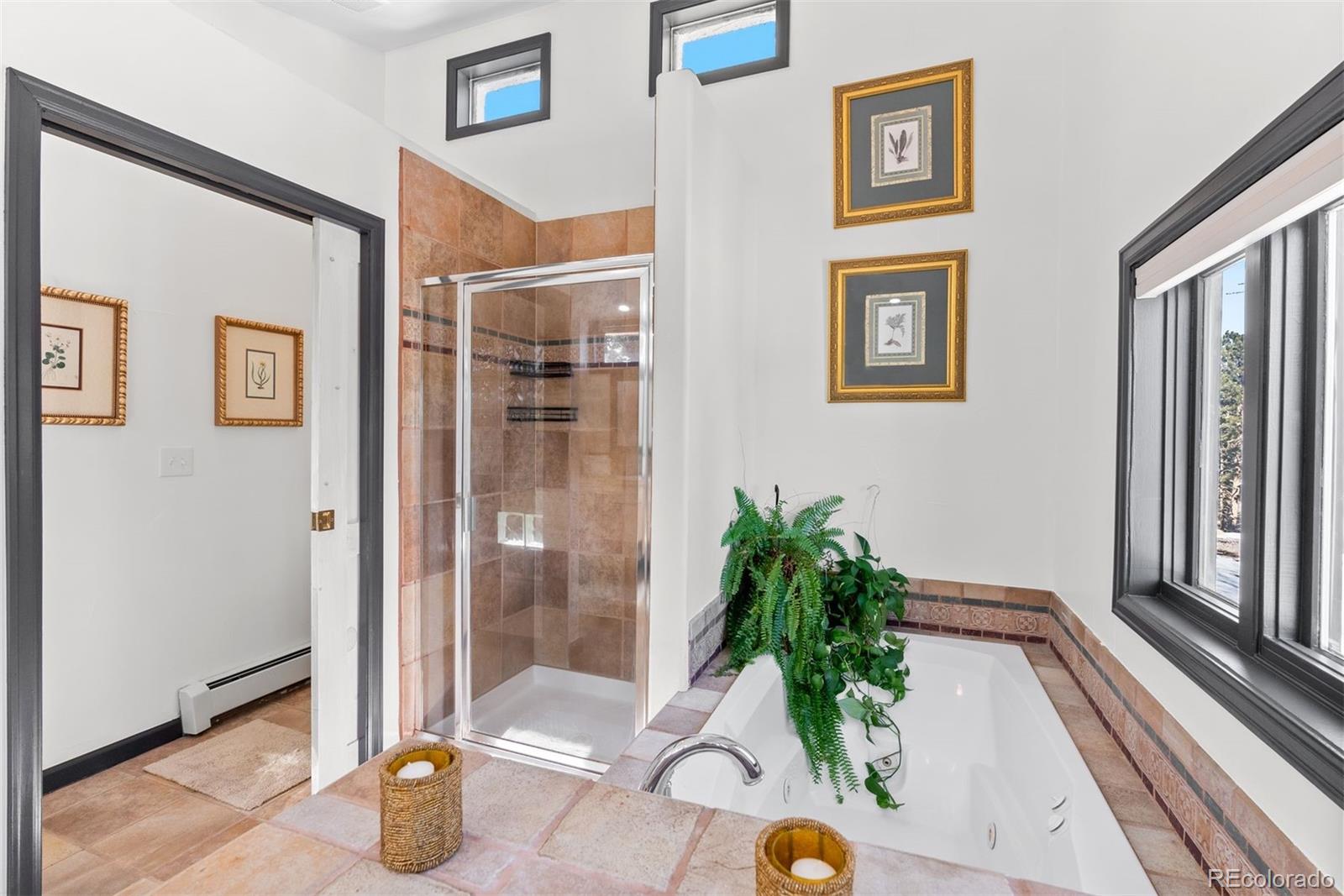 1053 Red Moon Road Evergreen, CO 80439 - Photo 39 of 50 a potted plant sitting on a floor in front of a house