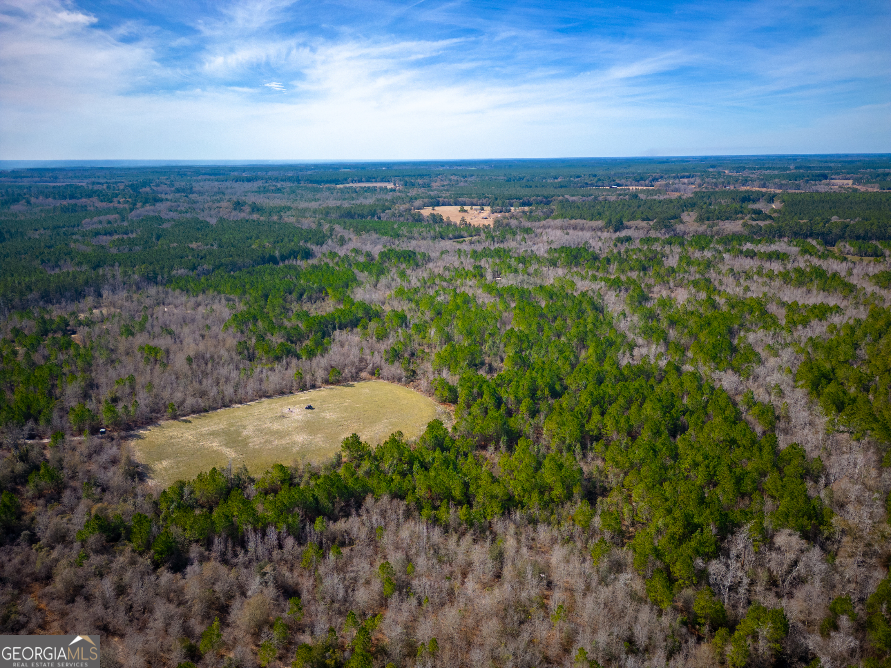 7271 Will Lee Road Nicholls, GA 31554 - Photo 1 of 1 Gallery Image 1