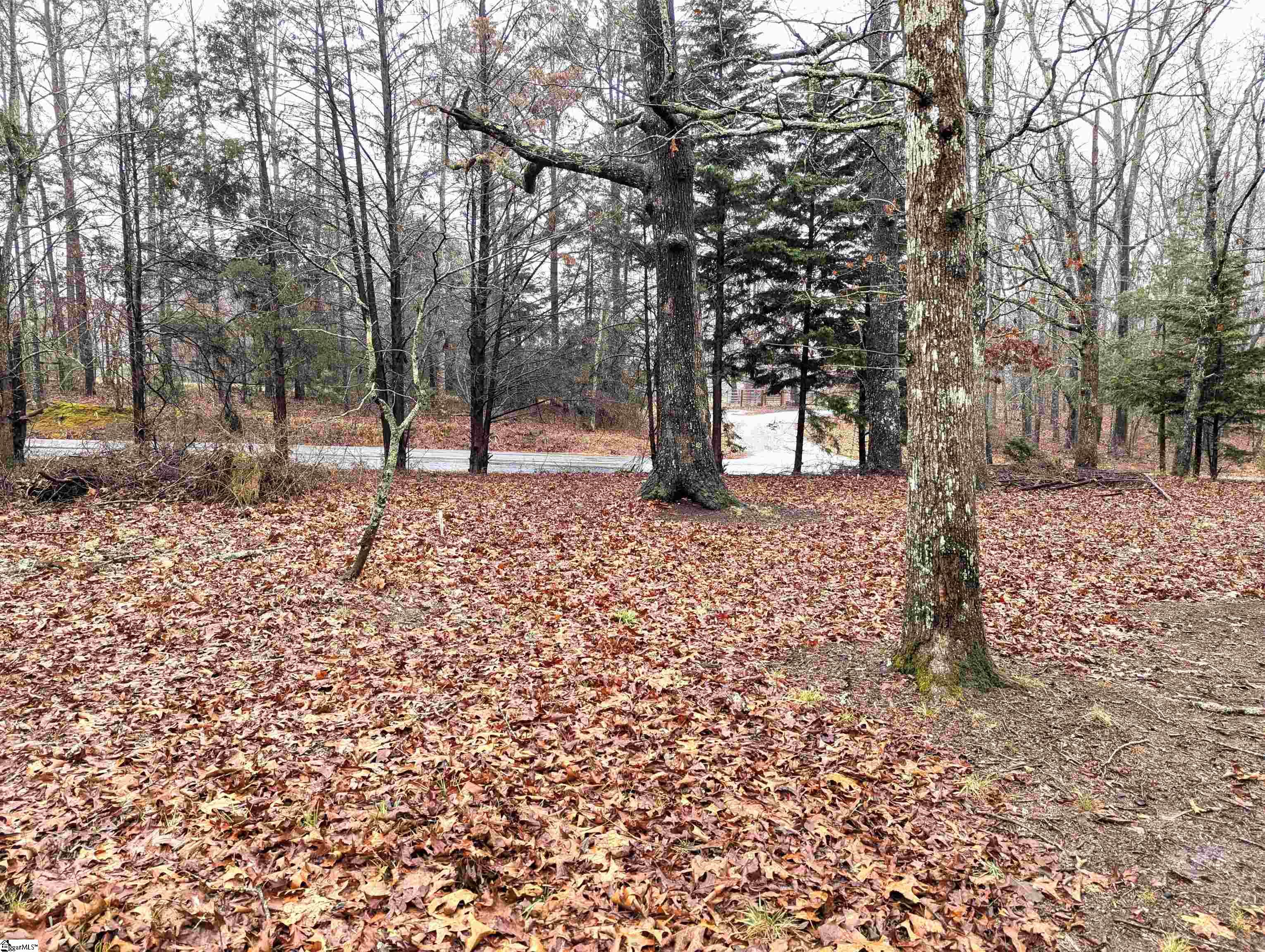 150 State Rd S-39-101 Central, SC 29630 - Photo 13 of 20