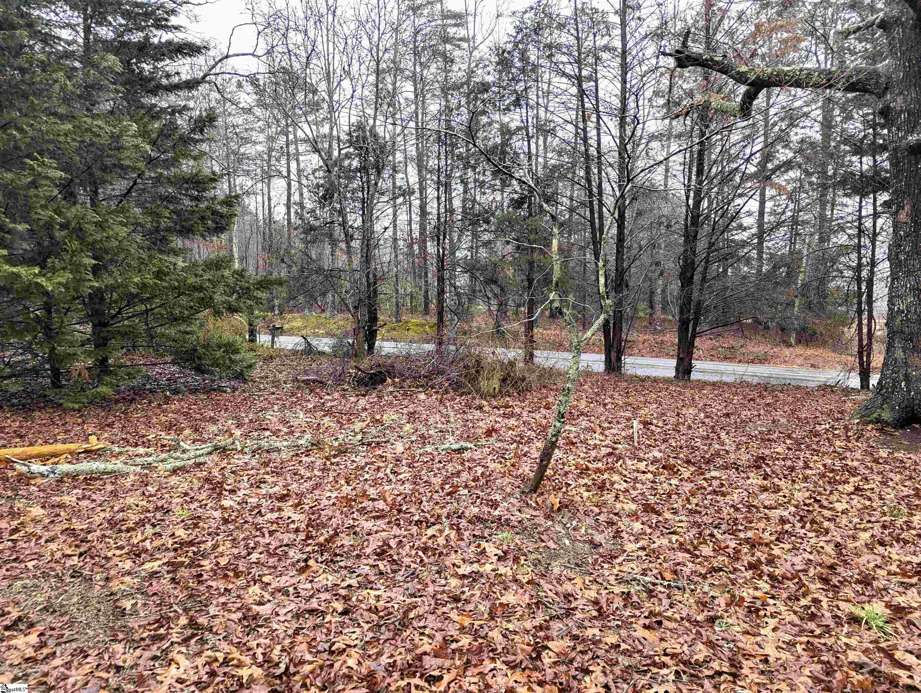 150 State Rd S-39-101 Central, SC 29630 - Photo 15 of 20