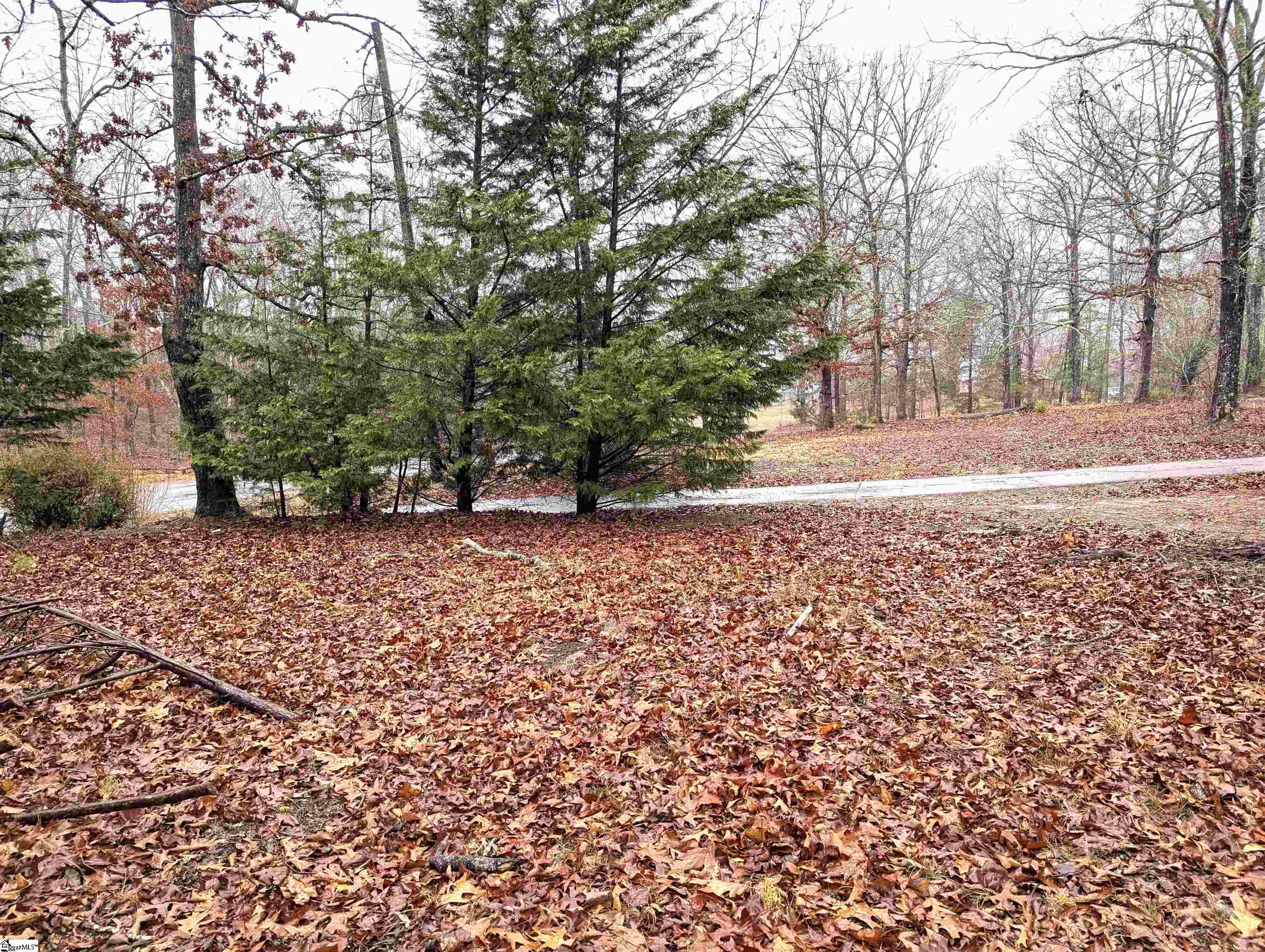 150 State Rd S-39-101 Central, SC 29630 - Photo 5 of 20