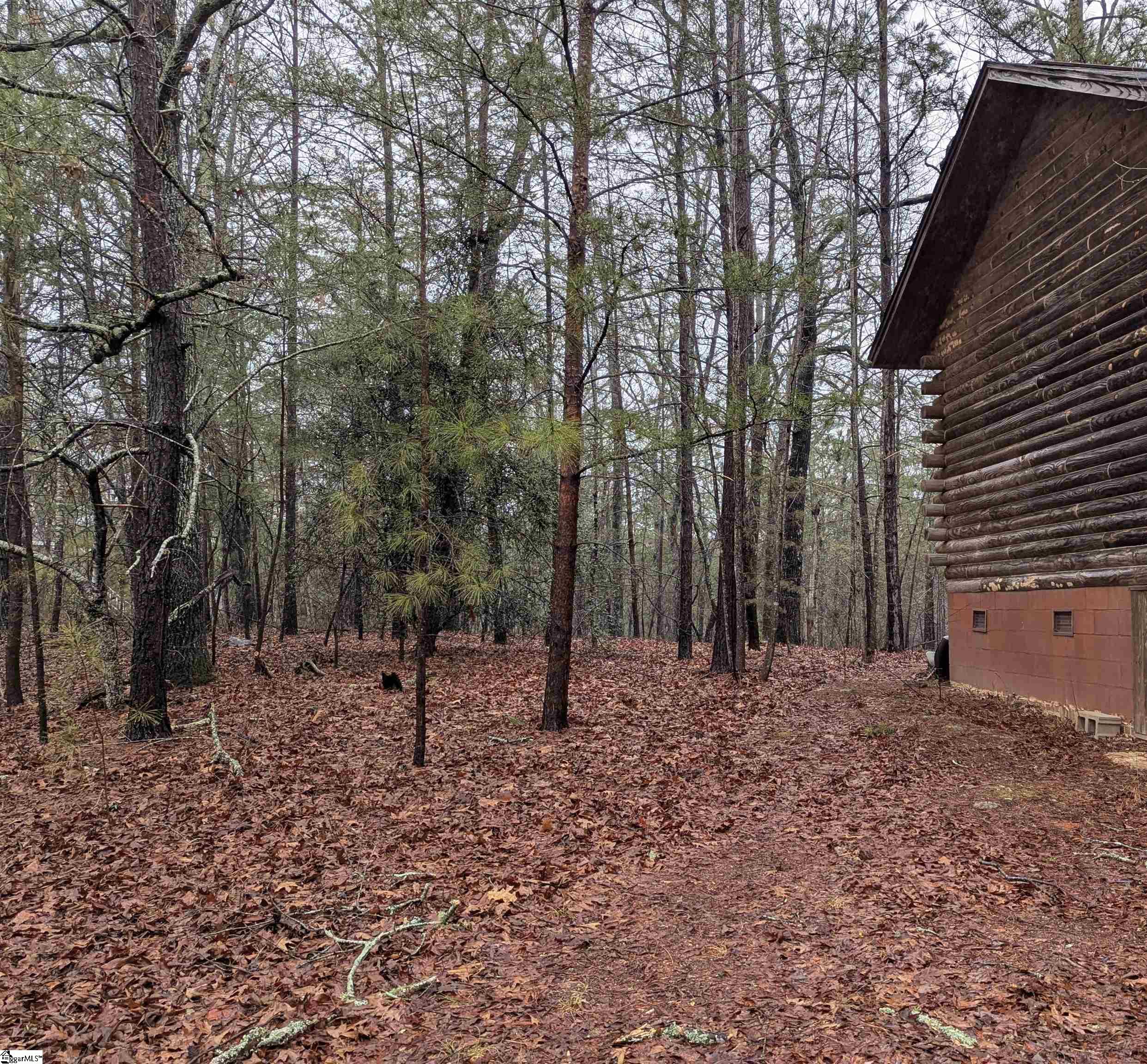 150 State Rd S-39-101 Central, SC 29630 - Photo 5 of 20