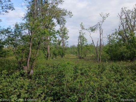 0 Finnegan Road Johannesburg, MI 49751 - Photo 1 of 2