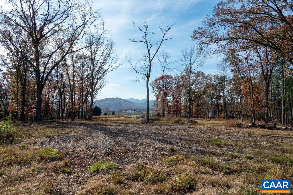 Tbd Red Hill Road Charlottesville, VA 22903 - Photo 21 of 50 a big yard with lots of green space and trees