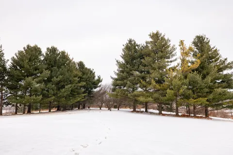 $385,000 | W1805 Highway 16, Watertown, WI 53094