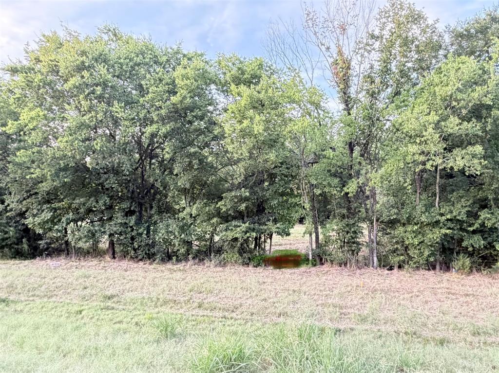 0 Fm-2728 Road, Unit 3 Terrell, TX 75161 - Photo 2 of 17 Gallery Image 2
