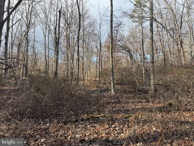 $12,900 | 2 1.54 /- Acres Ethridge Street, Cumberland, MD 21502