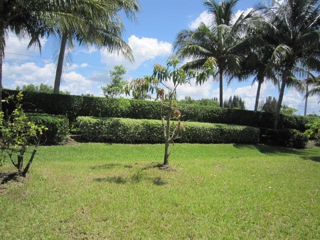 8716 Cobblestone Point Circle Boynton Beach, FL 33472 - Photo 2 of 32 Back yard/Exterior