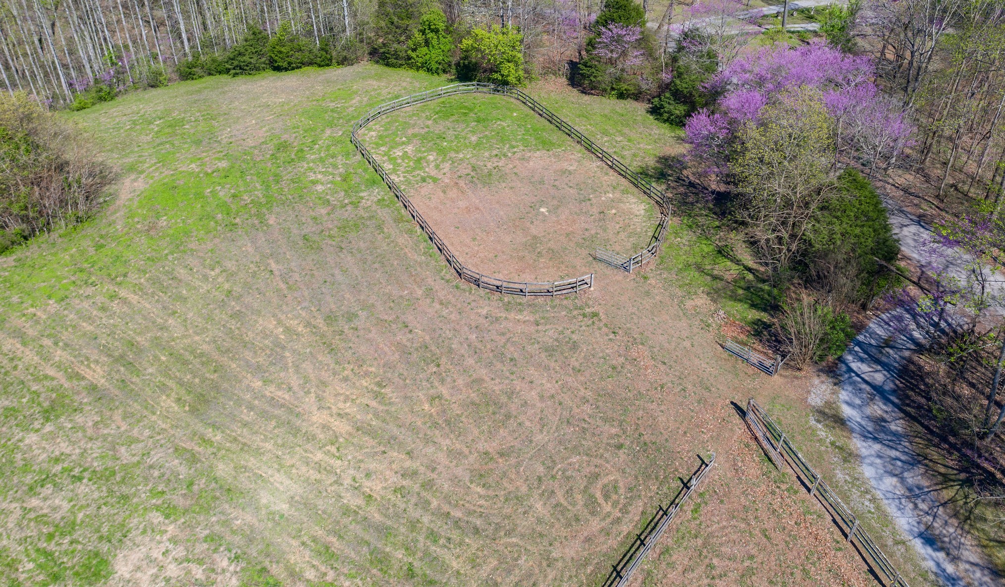 330 Rippy Ridge Road Normandy, TN 37360 - Photo 24 of 31 Gallery Image 24