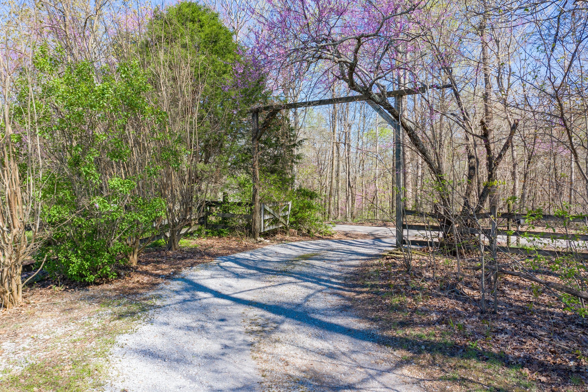 330 Rippy Ridge Road Normandy, TN 37360 - Photo 10 of 31 Gallery Image 10